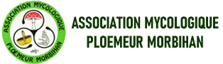 Association Mycologique Morbihan